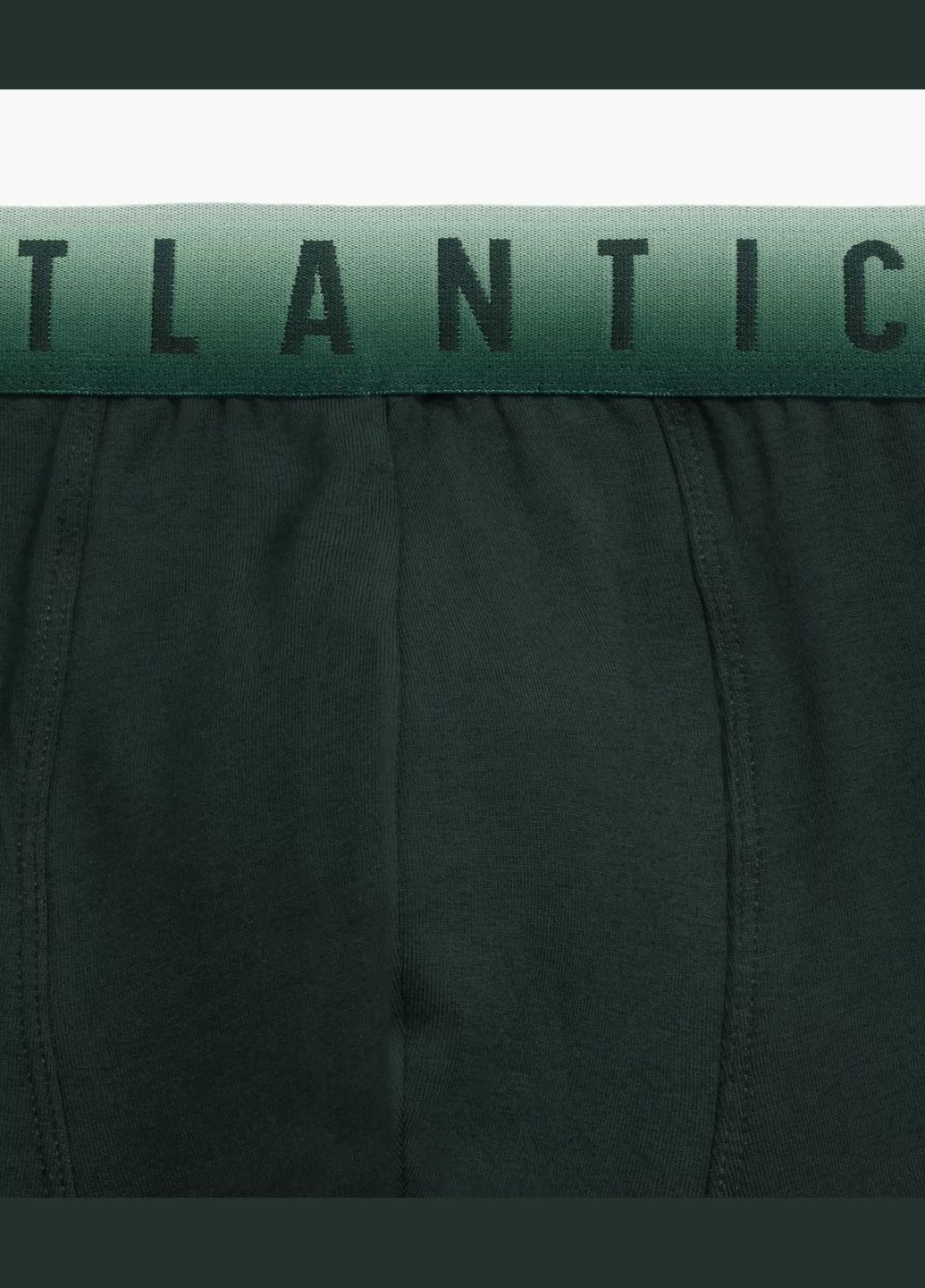 Мужские шорты боксеры Atlantic (304986047)