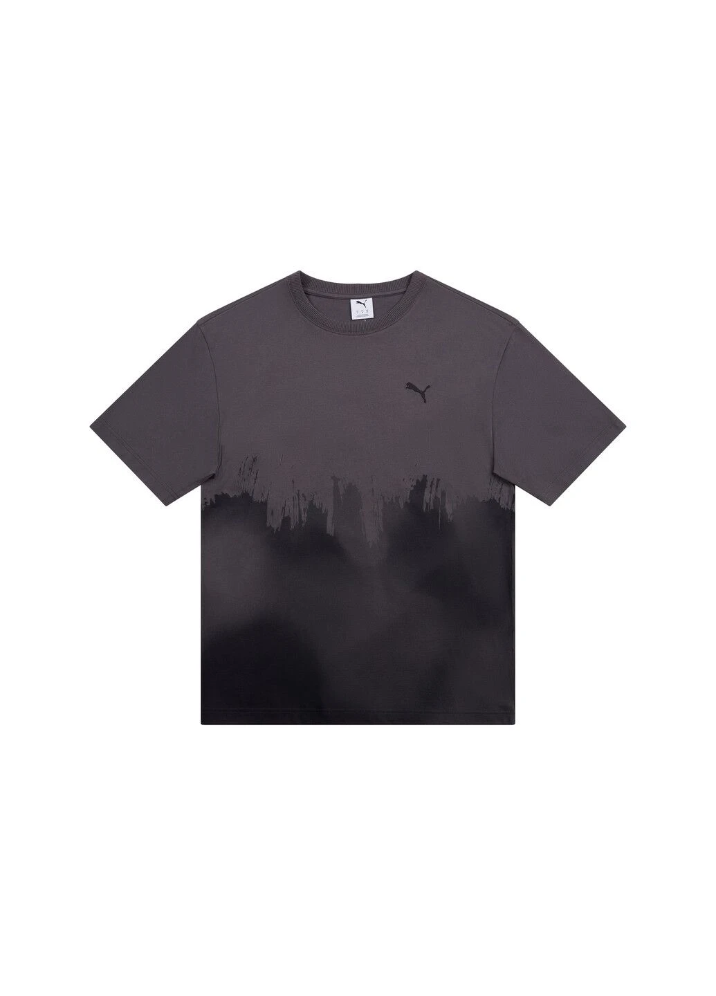 Футболка FUTURE..ARCHIVE Tee Men Puma (378984218)