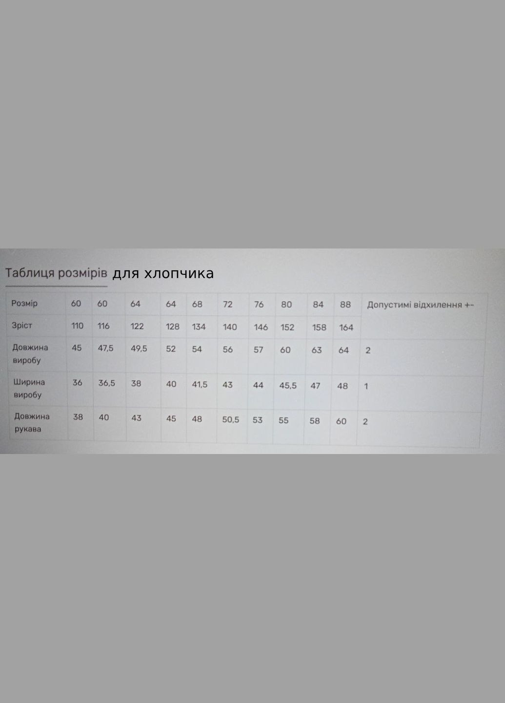Блакитна вишиванка для хлопчика блакитна з етнічним орнаментомз етнічним орнаментом Україна льон (322210872)