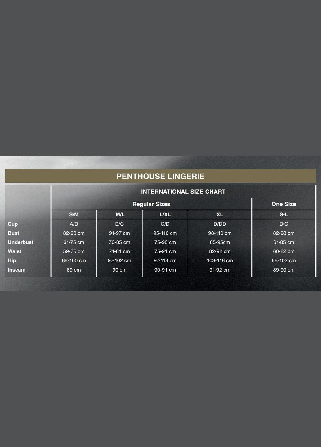 Бодістокінг з імітацією ліфа High Profile CherryLove Penthouse чорний нейлон, еластан