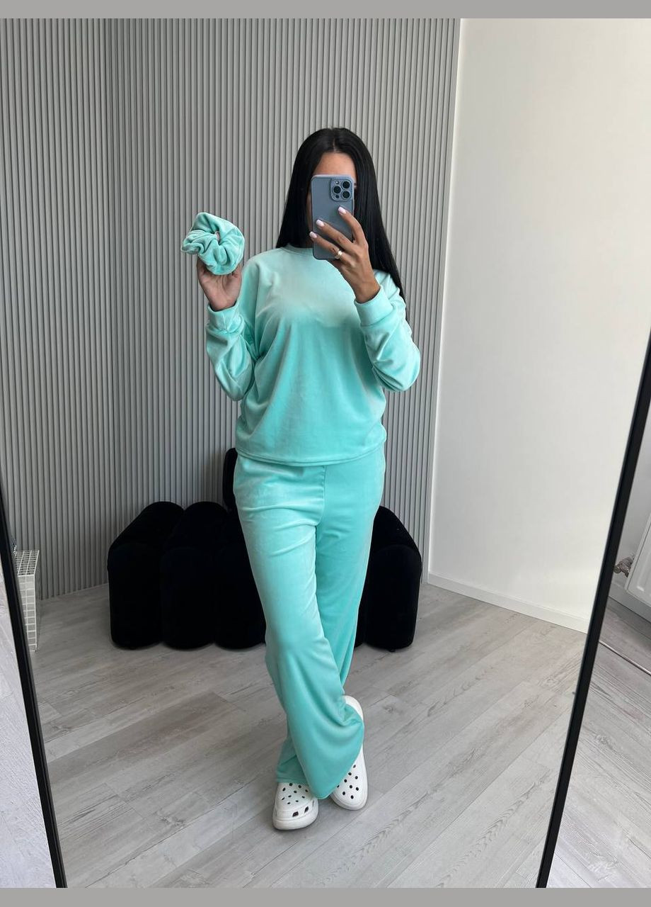 Велюровый костюм Liton (304234647)