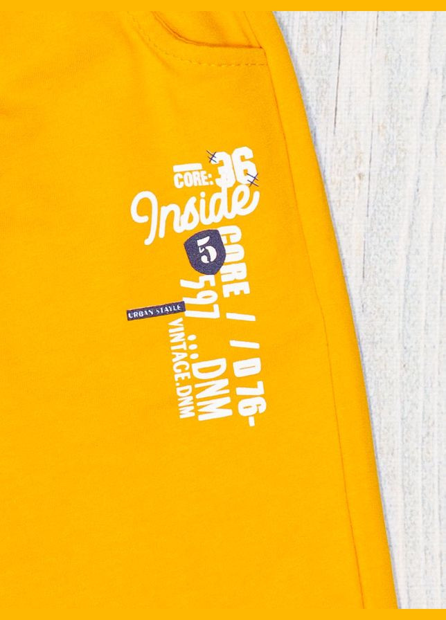 Шорты для мальчика Breeze (336330718)