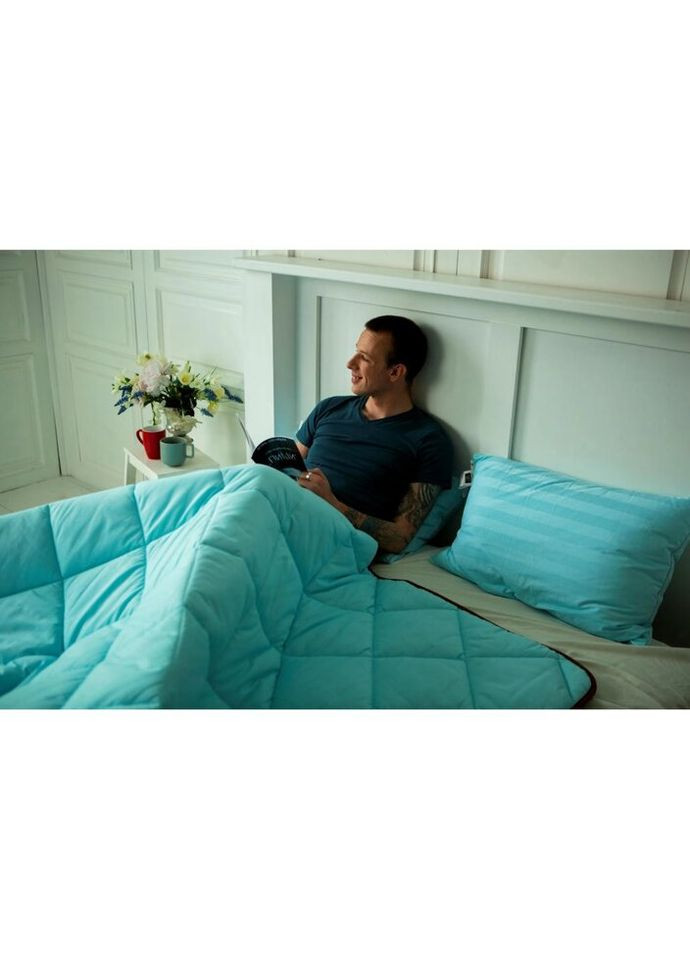 Одеяло Valentino №647 Зимнее с эвкалиптом 200х220 (2200000858122) Mirson (314715114)