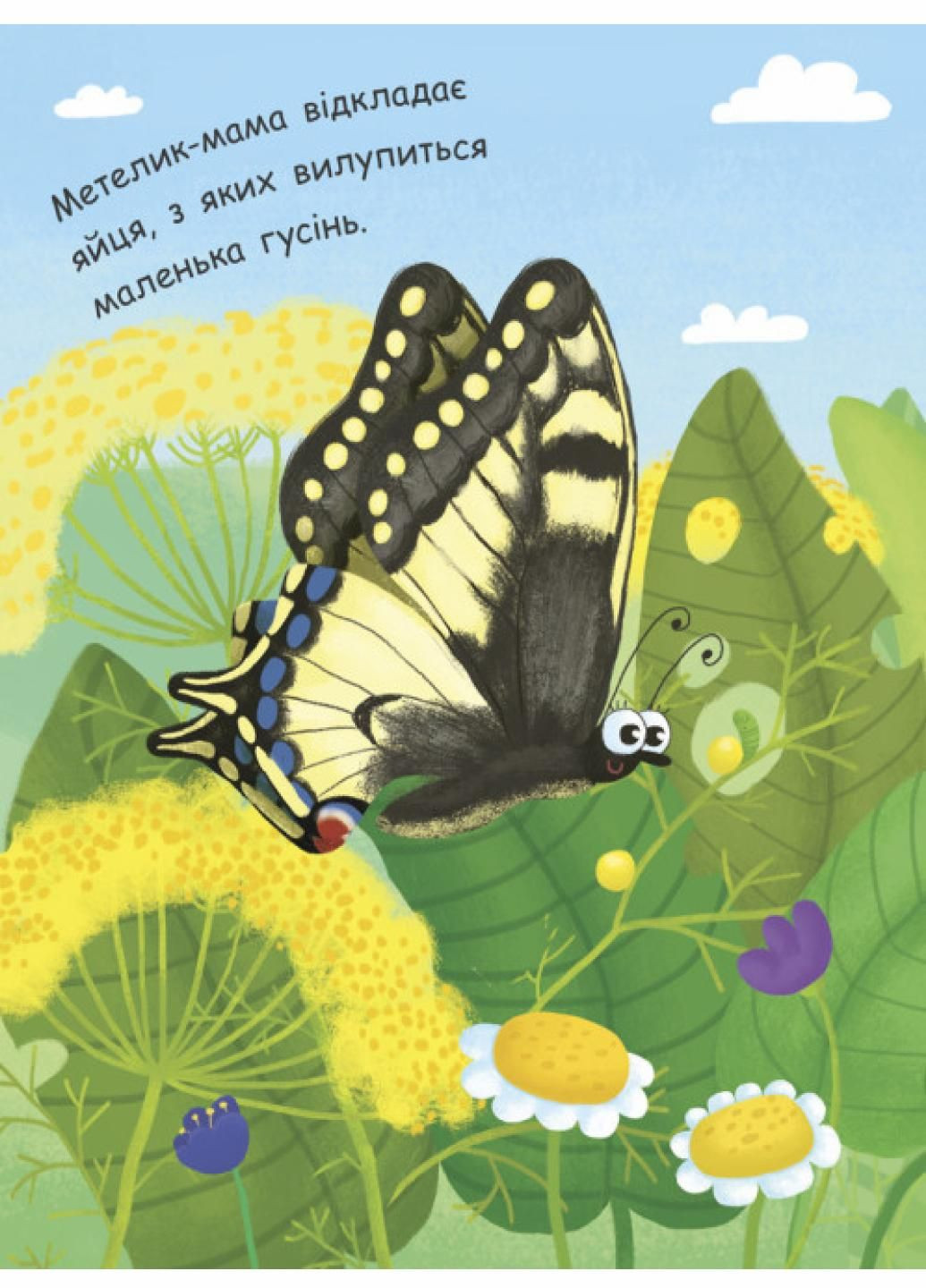 Моя перша енциклопедія : Як народжується метелик? Автор Конопленко І., Л807010У 9789667488352 РАНОК (289718723)