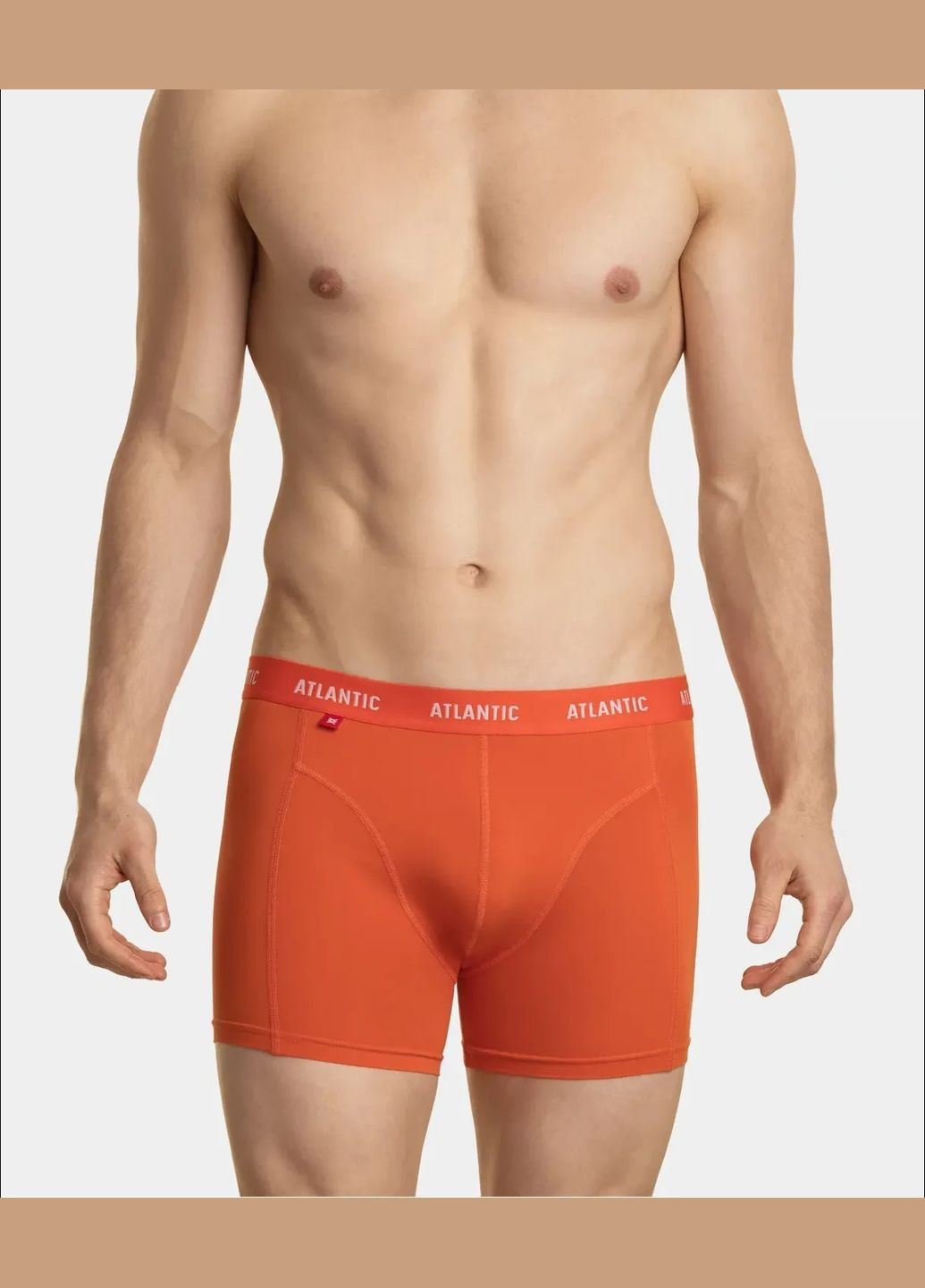 Чоловічі шорти боксери Atlantic (300368360)