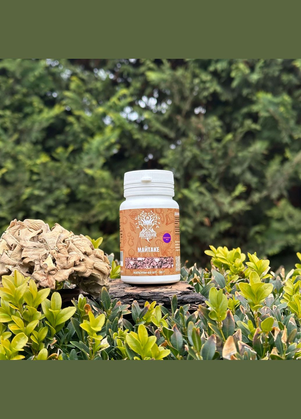 Майтаке, экстракт 10:1, капсулы 60 шт по 0.5 г Лісовик (334292849)