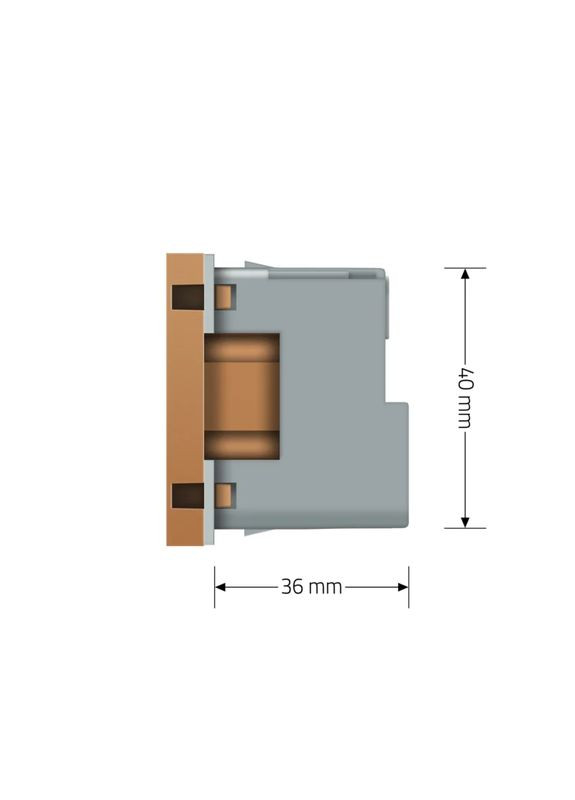 Розумна розетка золота з заземленням, шторки, керування зі смартфона, Alexa, Google Home, 16А 230В, модуль Livolo (370985077)