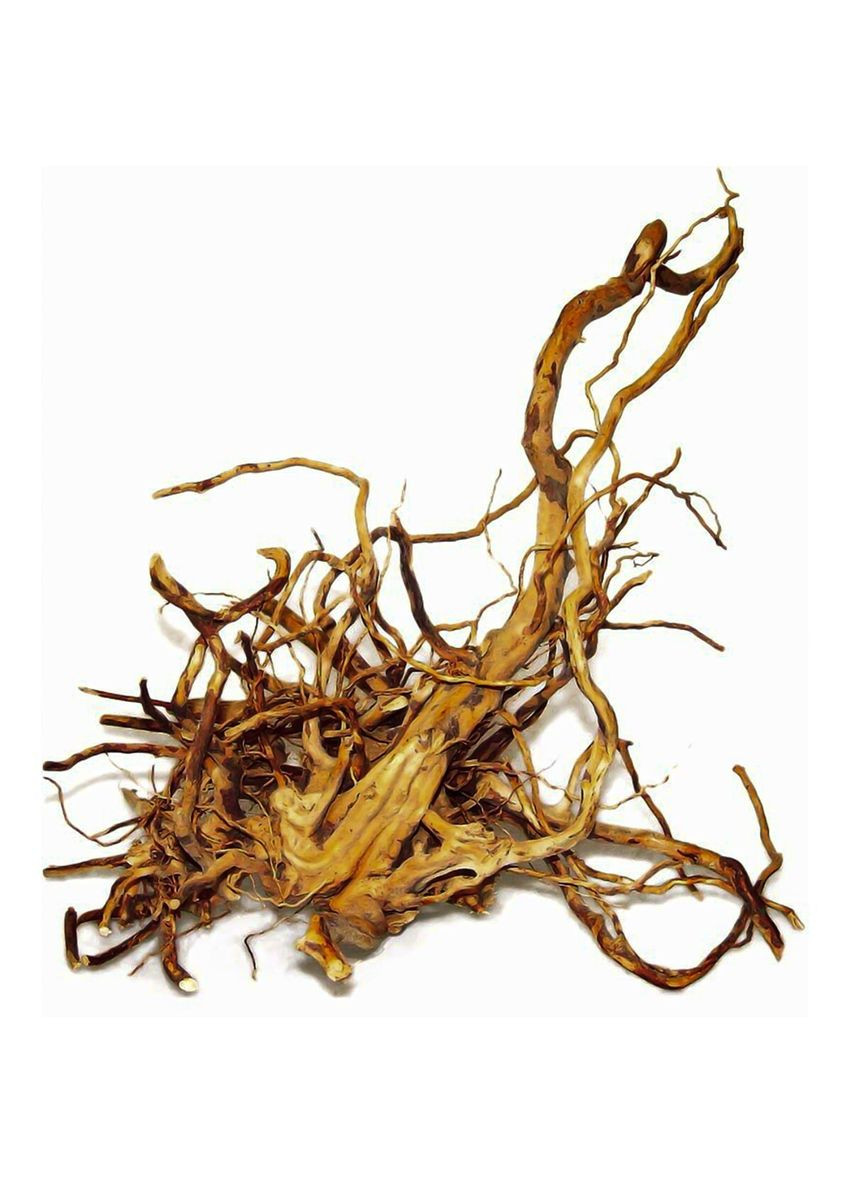 Красный болотный корень 1кг Happet (360245378)