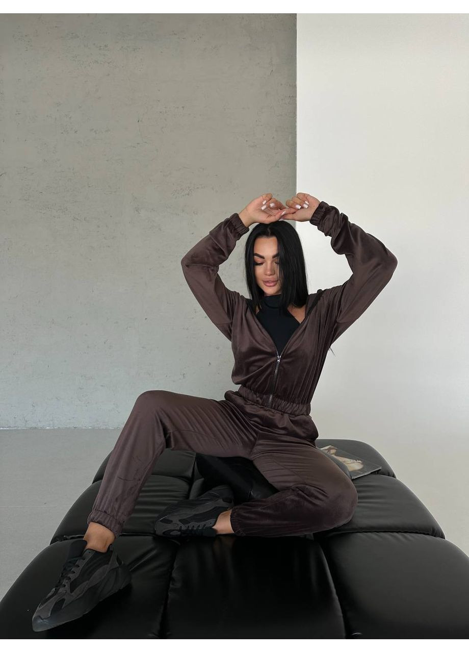 Жіночий спортивний костюм з велюру Україна (352193355)