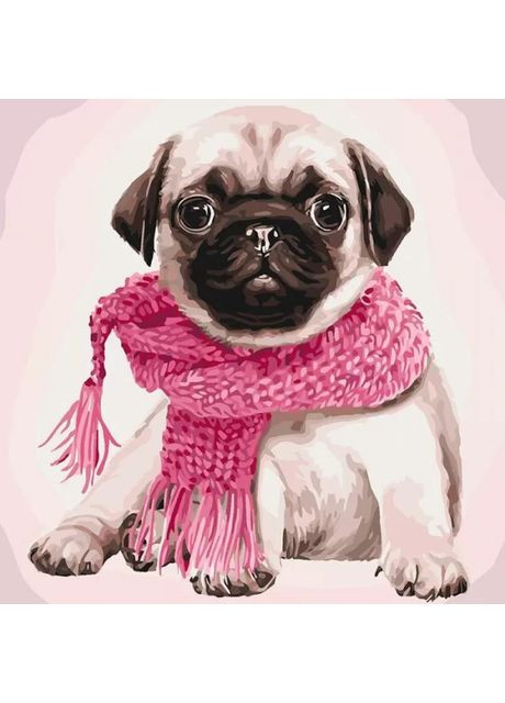 Картина по номерам Стильный мопс 40 х 40 см (11600-AC) Art Craft (370259281)
