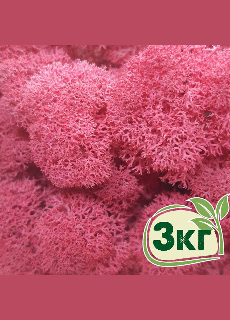 Стабілізований мох ягель Цикламен 3 кг Nordic moss (276401059)