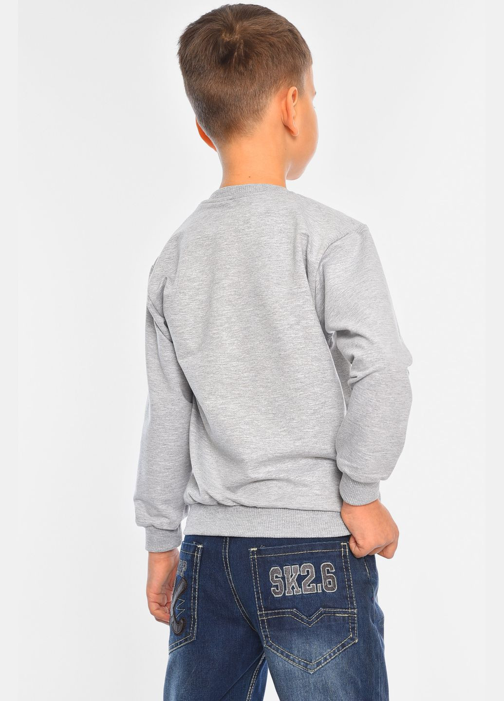 Let's Shop світшот дитячий для хлопчика сірого кольору малюнок сірий кежуал