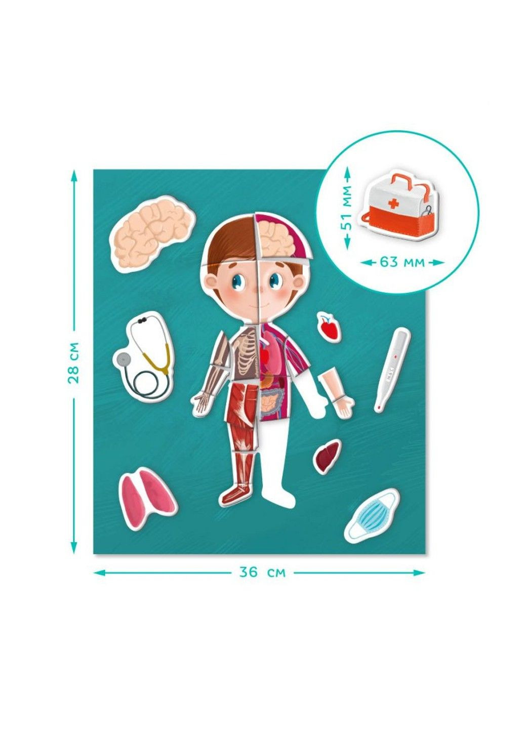 Развивающая магнитная игра "Человеческое тело" DoDo 200220 DoDo Toys (335055552)