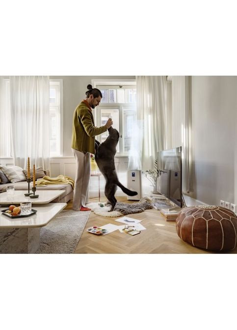 Воздухоочиститель KARCHER 1.024-822.0 (354227871)