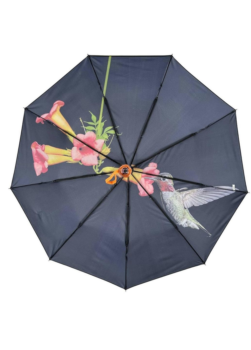 Зонт автомат женский Rain (279314263)