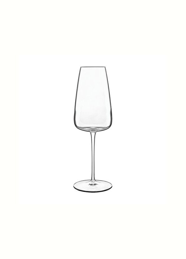 Келих для шампанського Talismano 210 мл Luigi Bormioli (268735827)
