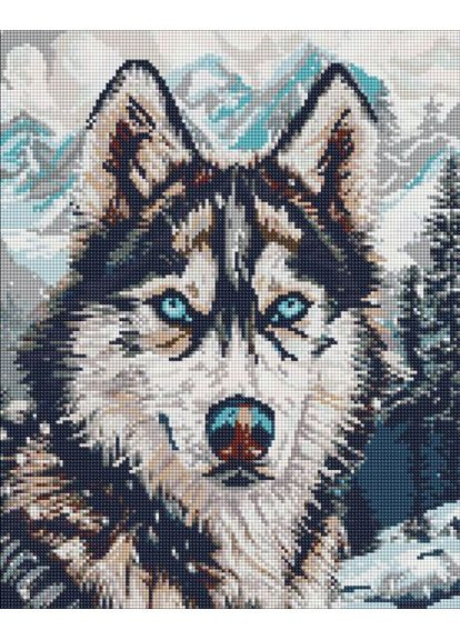 Алмазная мозаика - Глаза севера ©art_selena_ru 40х50 см IDEYKA (370795760)