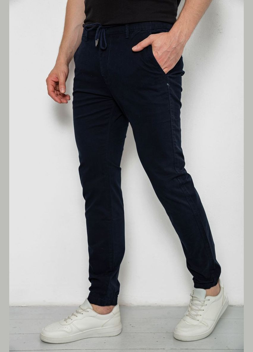 Джоггери чоловічі Ager 244RTE916 (337472695)