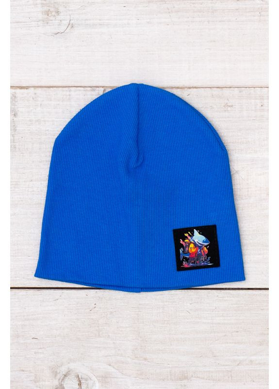 Демісезонна однотонна шапка в рубчик для хлопчика (p-18043) Носи своє (368765400)