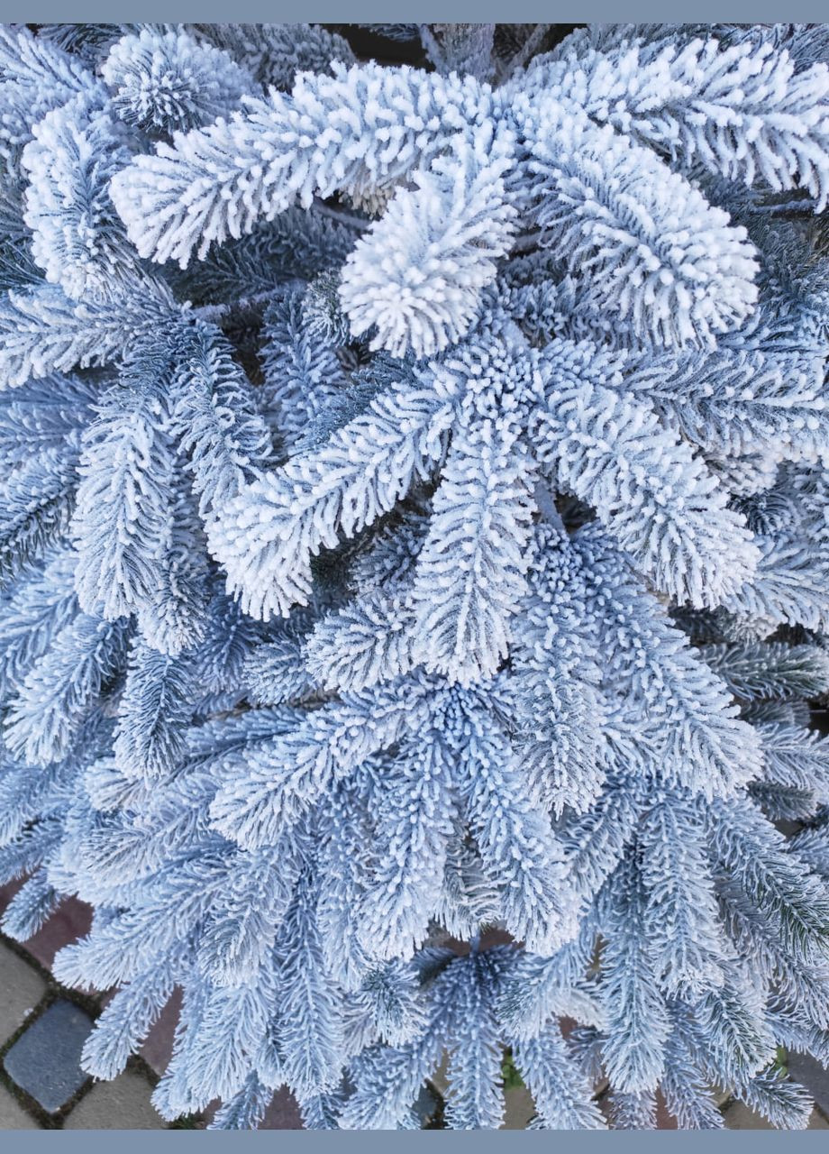 Елка Буковельская заснеженная - 180 см No Brand (307827496)