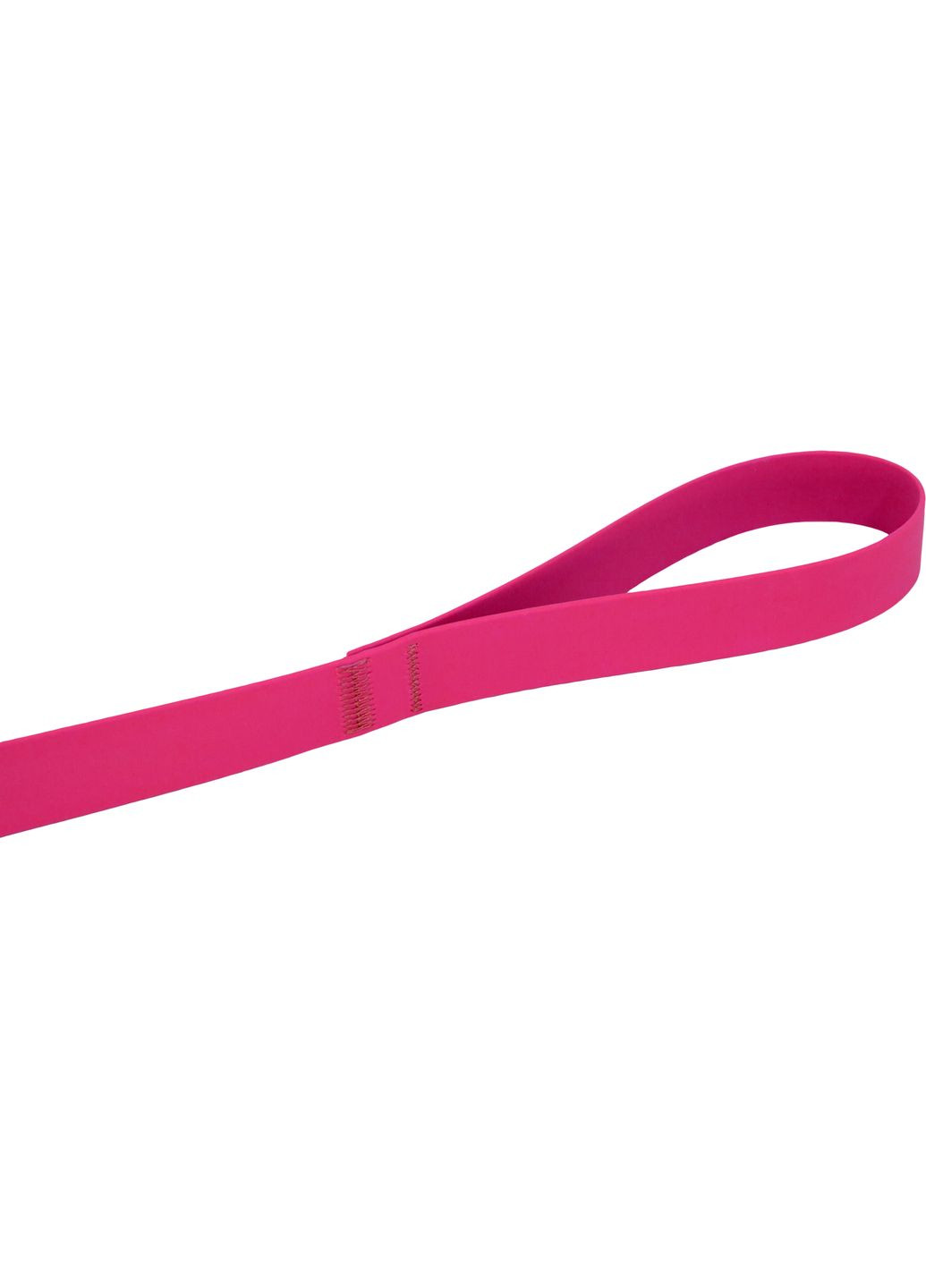 Поводок из водонепроницаемой ленты 2.5/400 см (4820224216669) Lucky Pet (279571280)