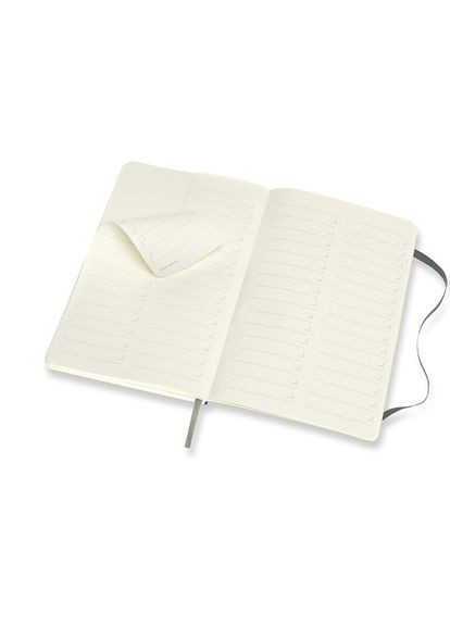 Записник PRO середній зелена PROPFNTB3SK19 Moleskine (317304746)