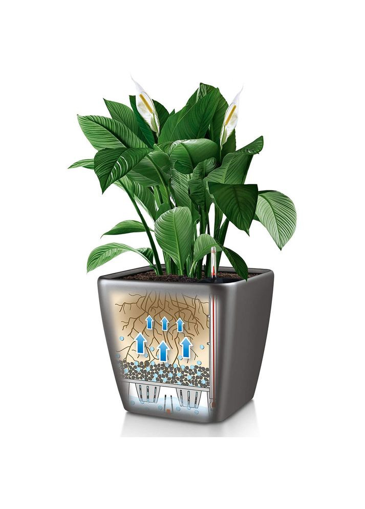 Кашпо Quadro Premium LS 35 White (16160) Lechuza (323108002)