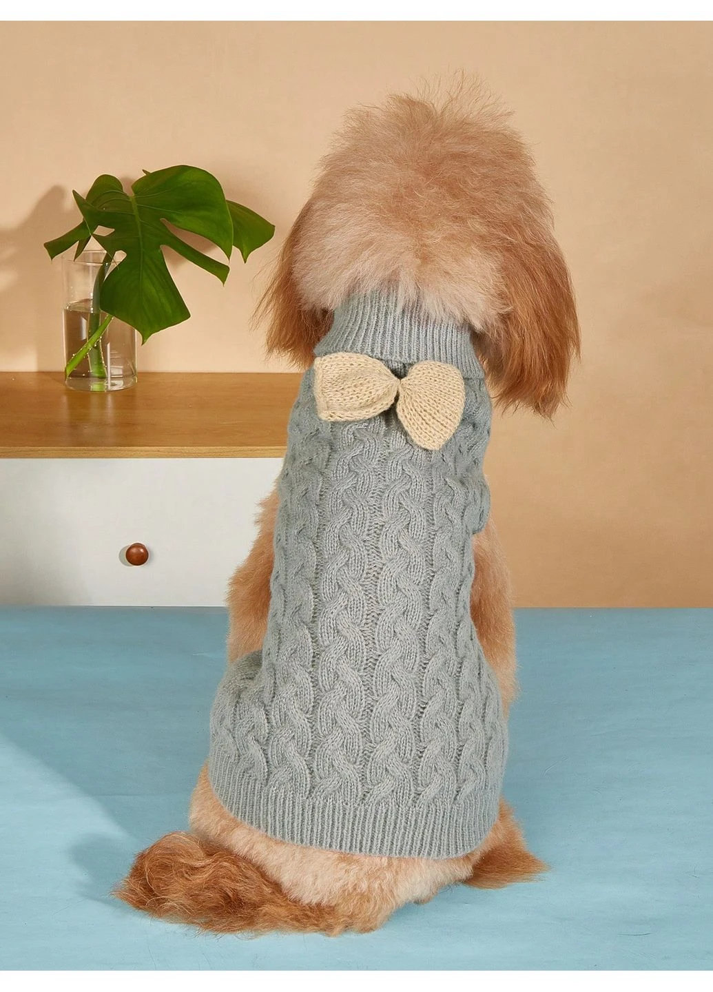 Кофта для питомца SHEIN (400839896)