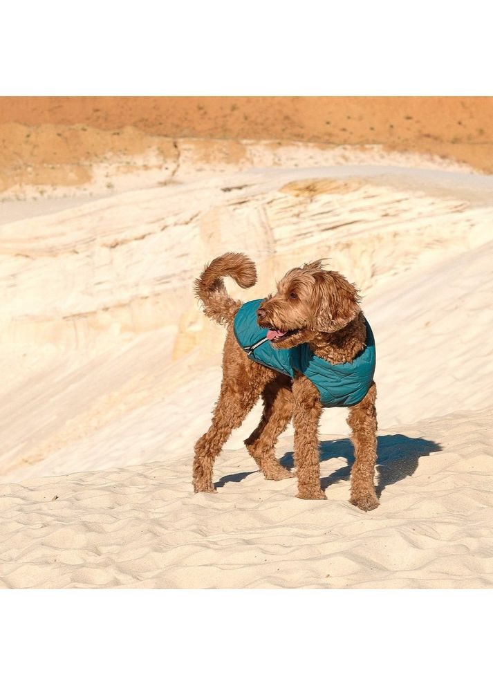 Жилет E.Vest для собак морская волна XS-2 Pet Fashion (369980485)