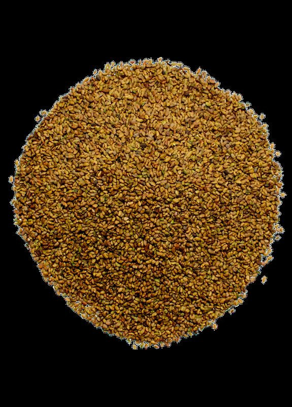 Насіння Люцерна корм медонос сидерат насіння 1 кг (30020006) Україна Кормова культура (317290860)