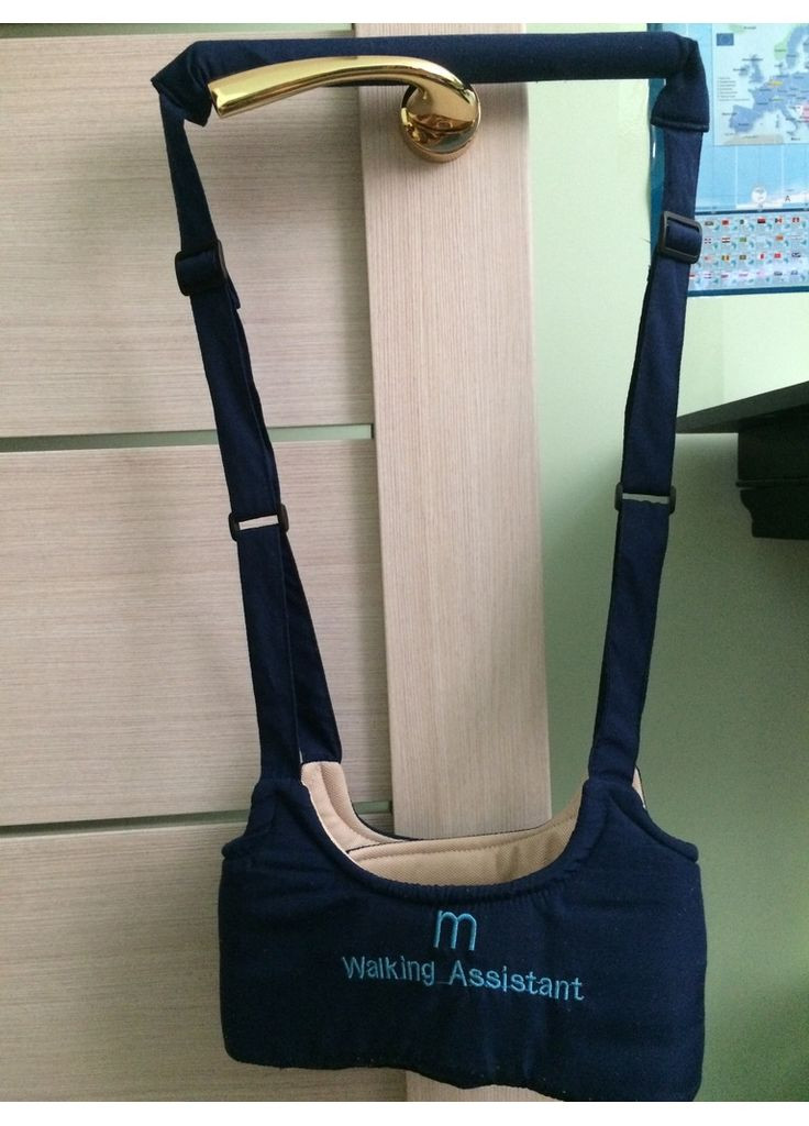 Дитячі віжки-ходунки Walking Assistant MBWA901 Синій No Brand (367958884)