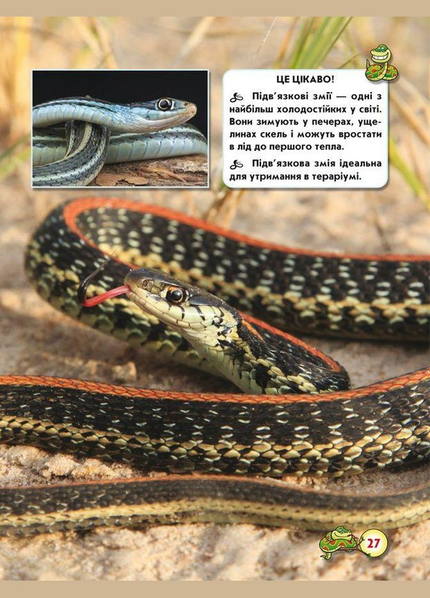 Світ навколо нас. Змії Кристал Бук (316082994)