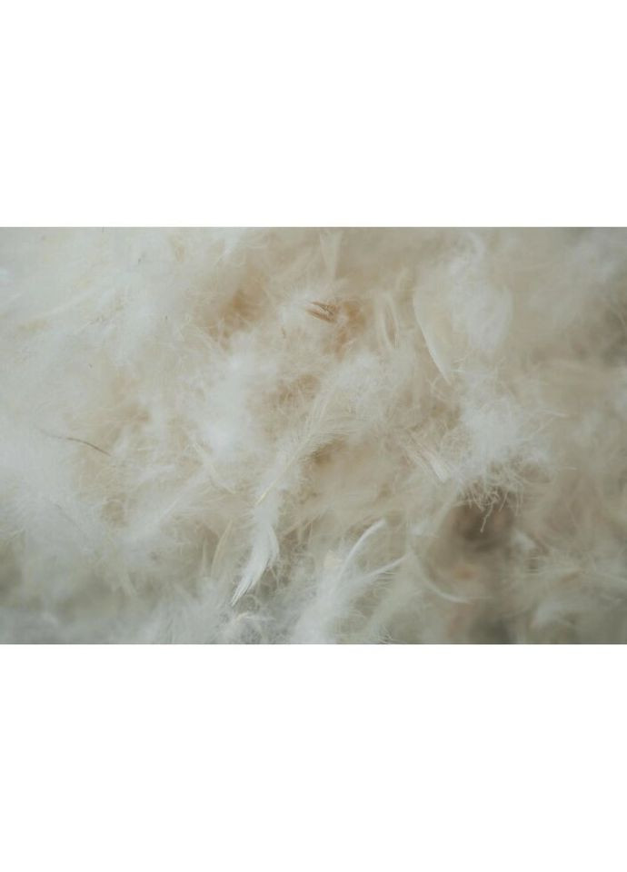 Одеяло пуховое Royal Pearl 036 зима 140x205 см (2200000003591) Mirson (315025851)