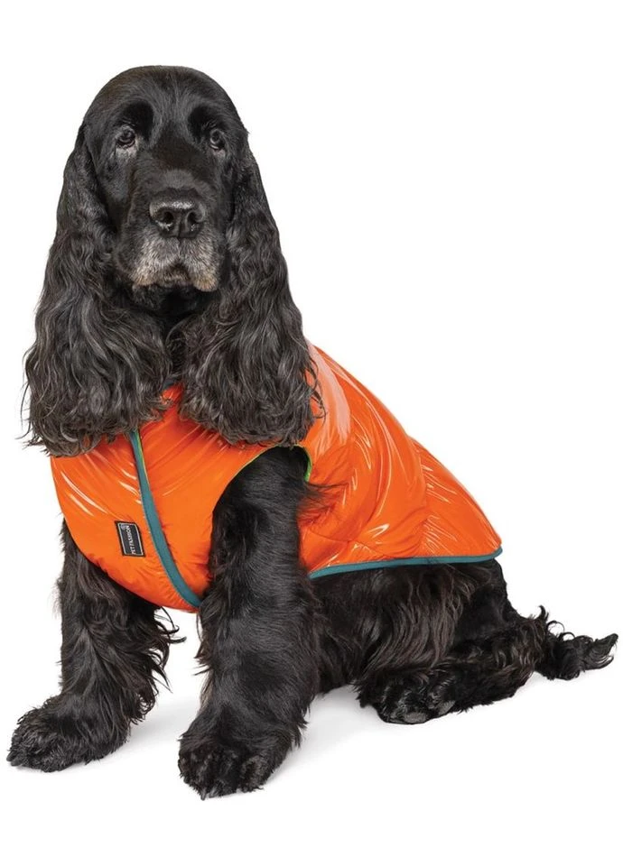 Жилет "SPRING" для собак размер XS-2, (4823082420452) Pet Fashion (318100985)