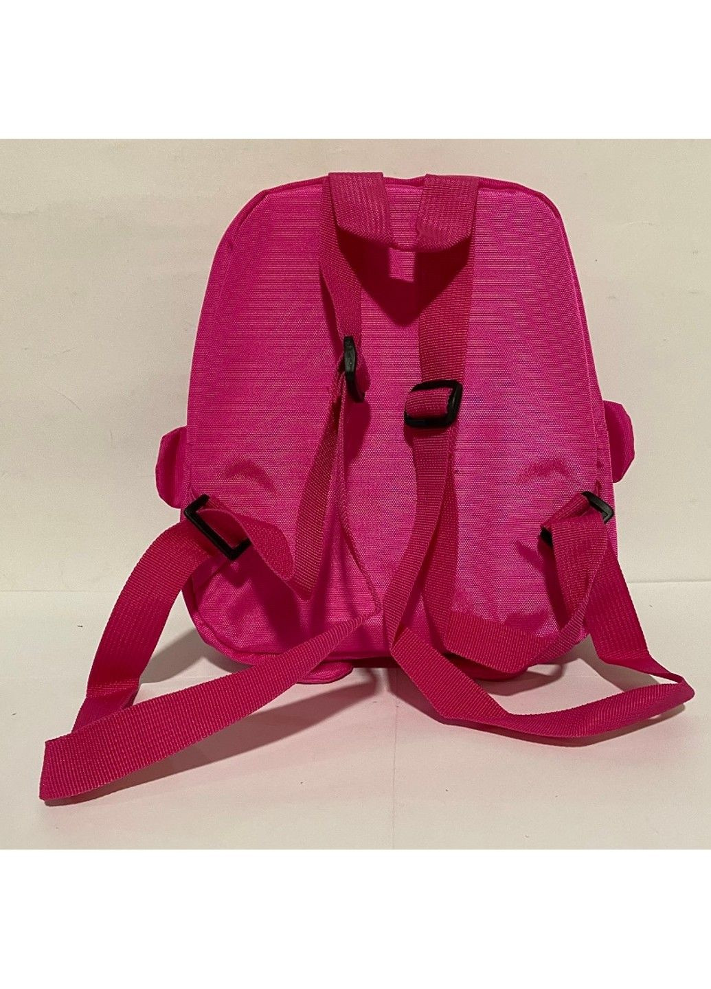 Рюкзак детский из ткани 25х21х10см Котик,розовый 316КТ No Brand (291161861)