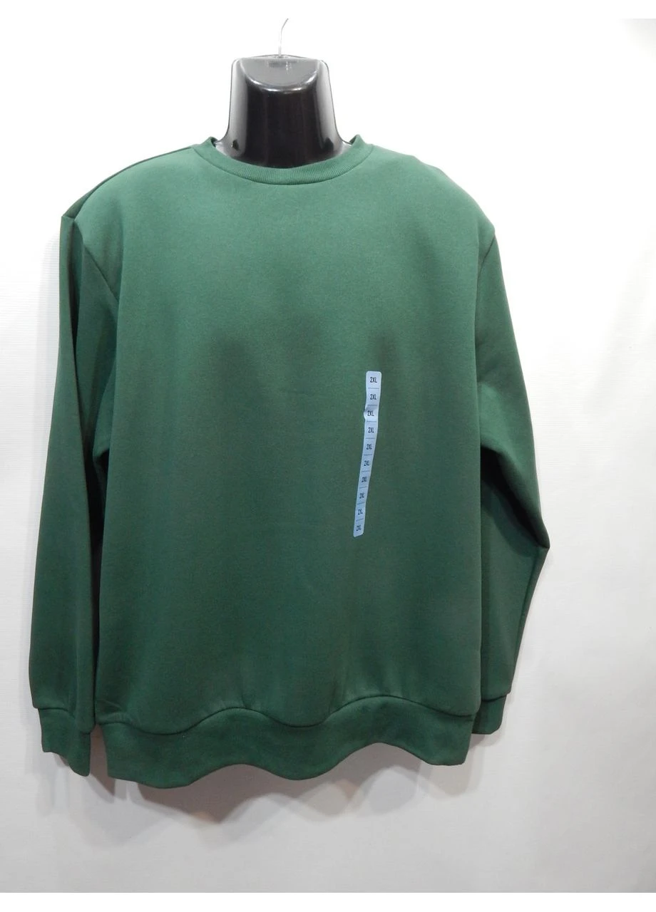 Чоловіча демісезонна тепла кофта (світшот) р.54 (2XL) 095ZMT No Brand (402382381)