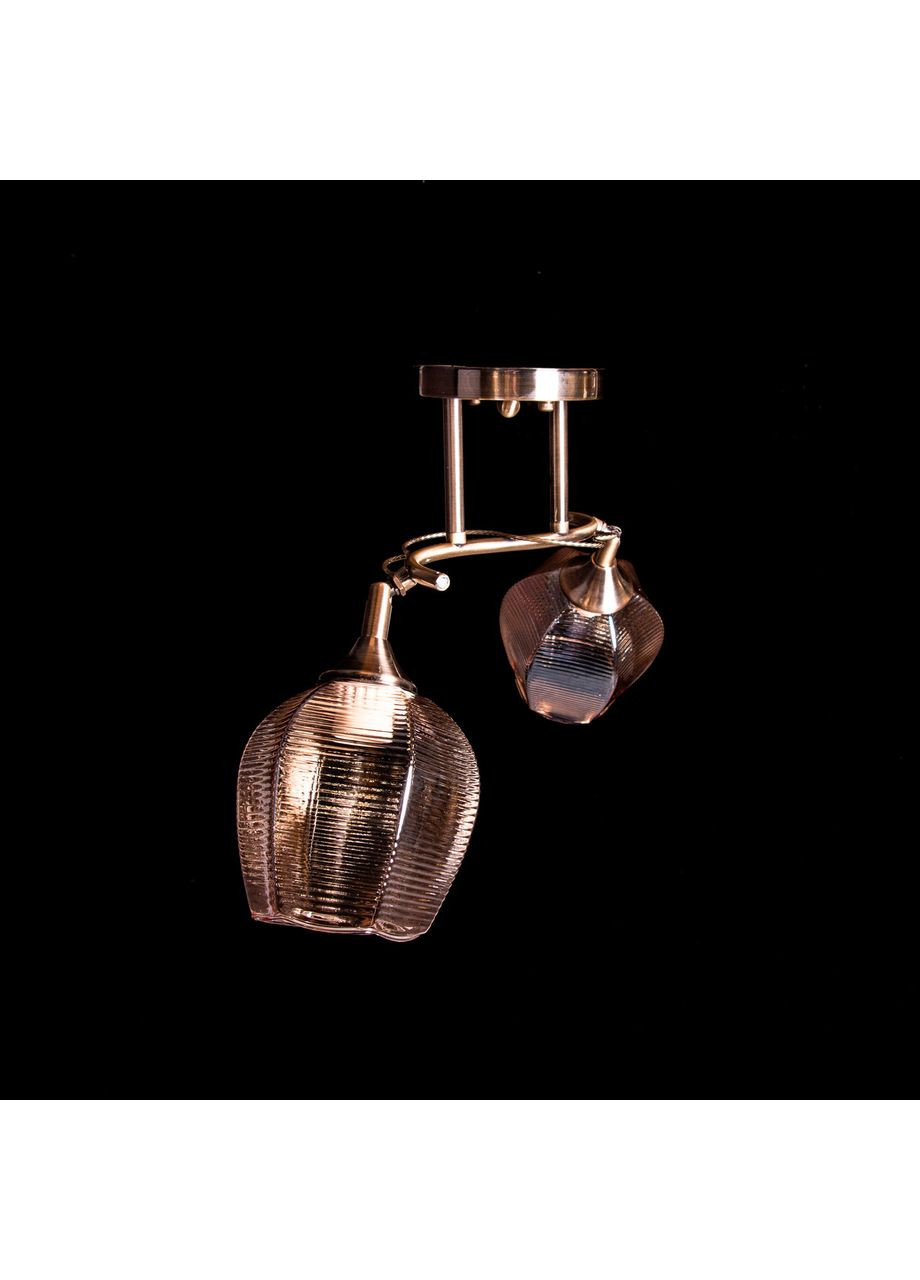 Стельова люстра на 2 лампочки N4730/2/L570*W190*H240 No Brand (352229954)