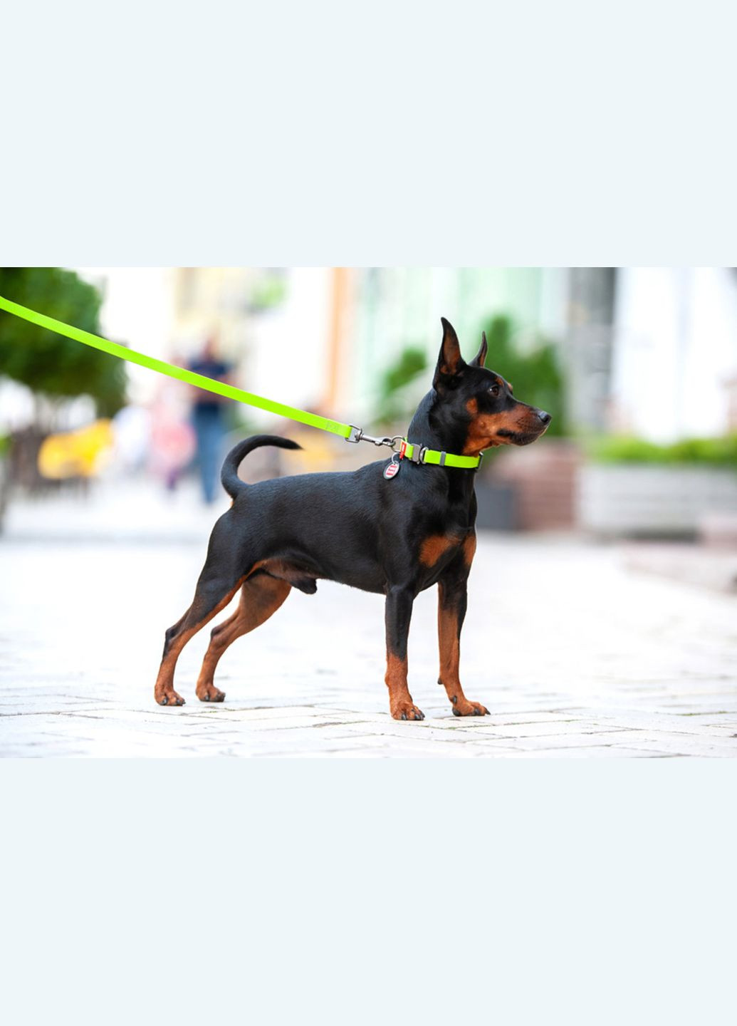 Нашийник для собак водостійкий Waterproof Металева пряжка-фастекс Ш 20 мм Д 24-40 см Салатовий WAUDOG (323168682)