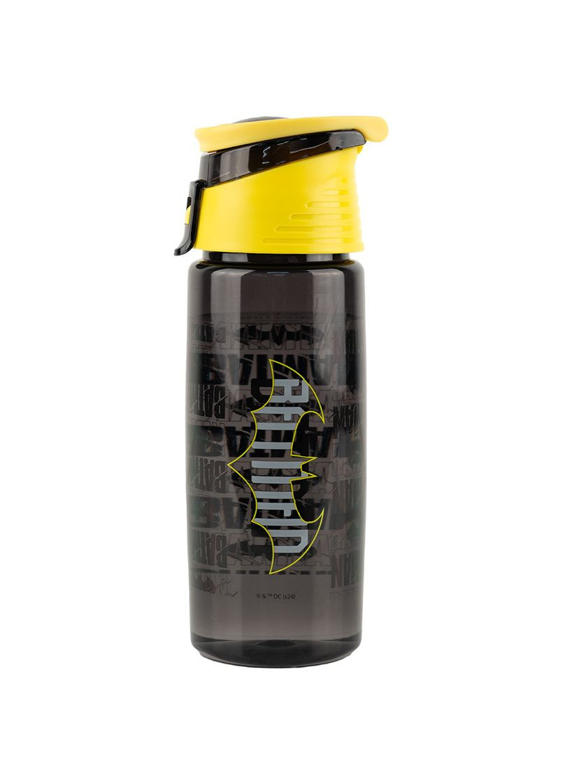 Бутылка для воды 550 мл DC Kite (337170500)