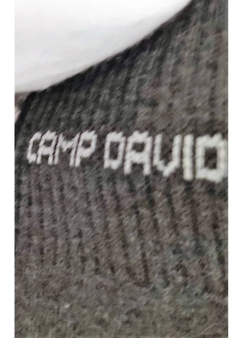 Комбіновані шкарпетки чоловічі три пари комбіновані 39/42,43/46 Camp David однотонні (374920006)