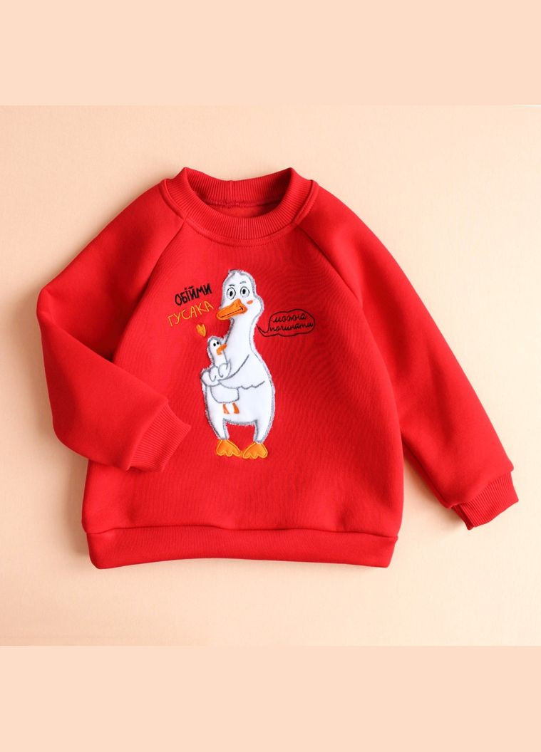 Веселый детский свитшот с аппликацией Обойми гуся унисекс Ladan (301026359)