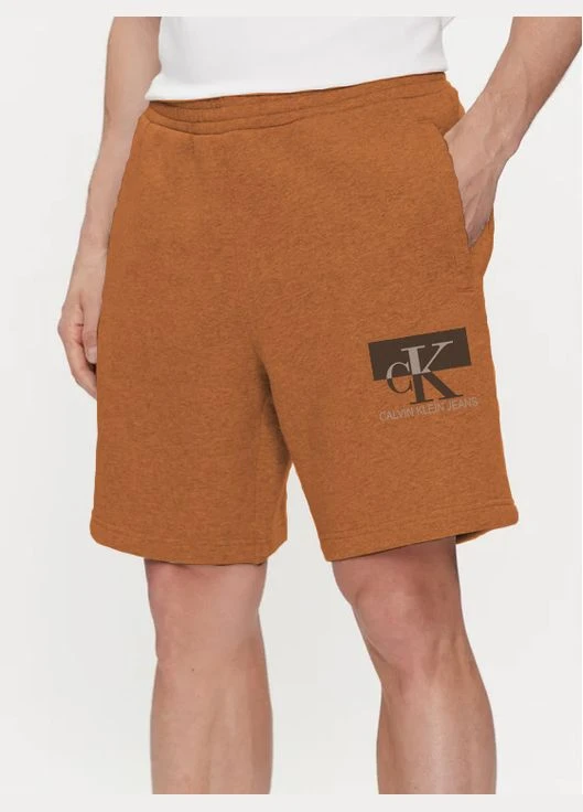 Мужские шорты Calvin Klein No Brand (394067356)