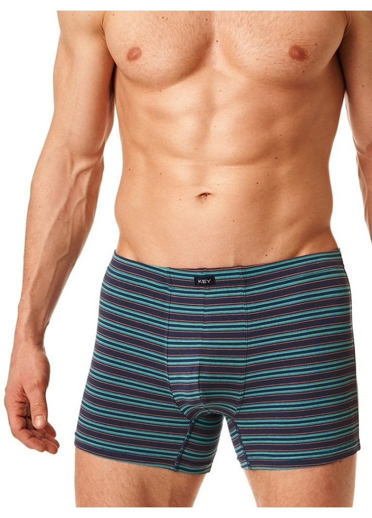 Мужские шорты боксеры Key (299907128)