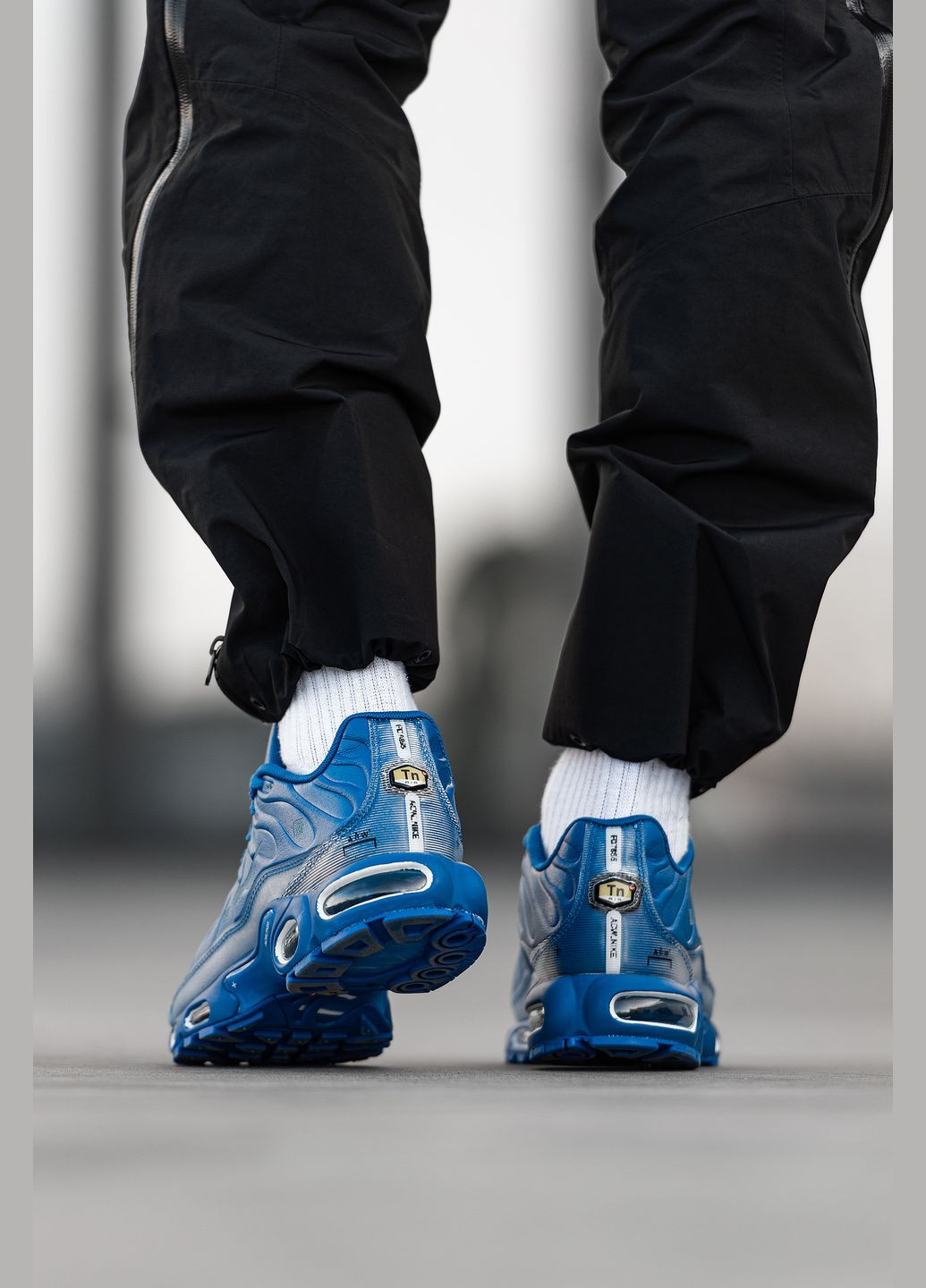Синие демисезонные кроссовки мужские Nike Air Max TN Plus