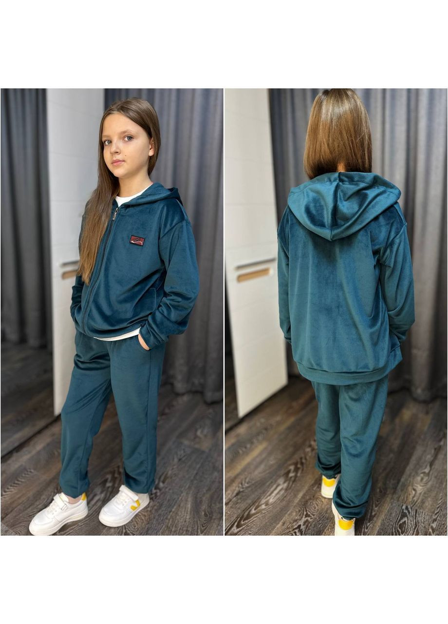 Теплый велюровый костюм с начесом на девочку Nositi 008-1-200-550 (370299403)