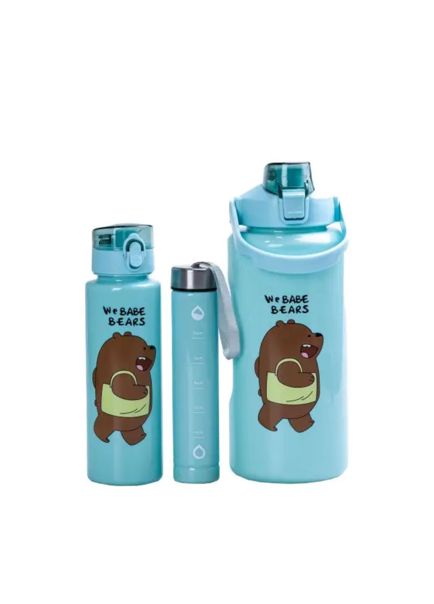 Набір пляшок 3 в 1 Панда з поїлкою і ручкою 0.3 (л) 0.7 (л) 2 (л) М'ятний HPZSB120014M (A-032369) Happy Life (355889993)