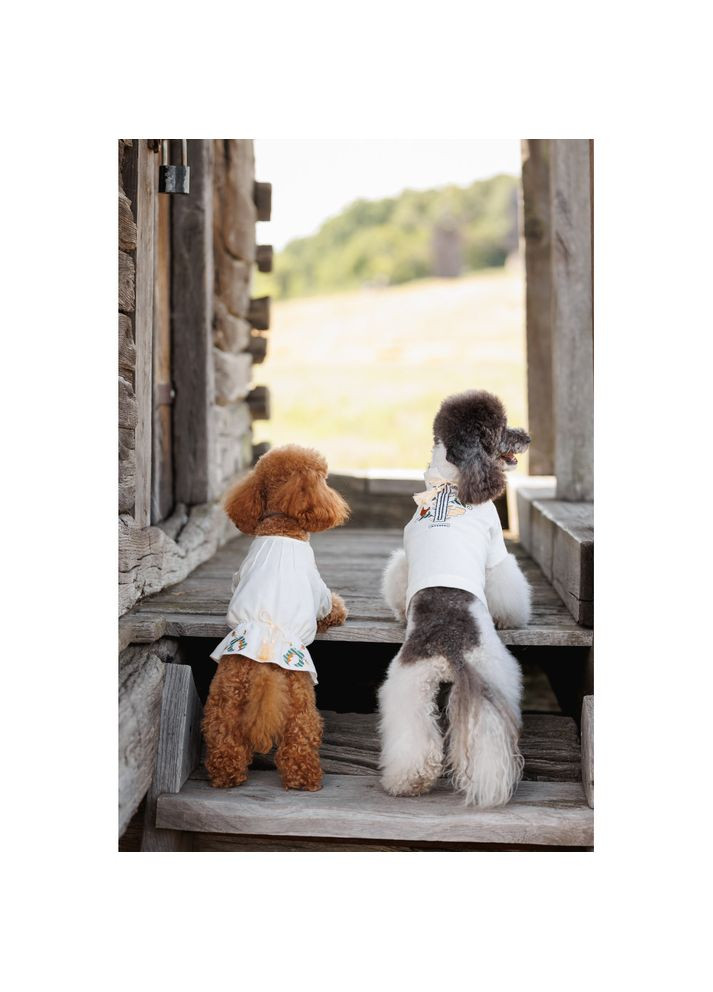 Вишиванка Maryana дівчинка Pet Fashion (372504131)