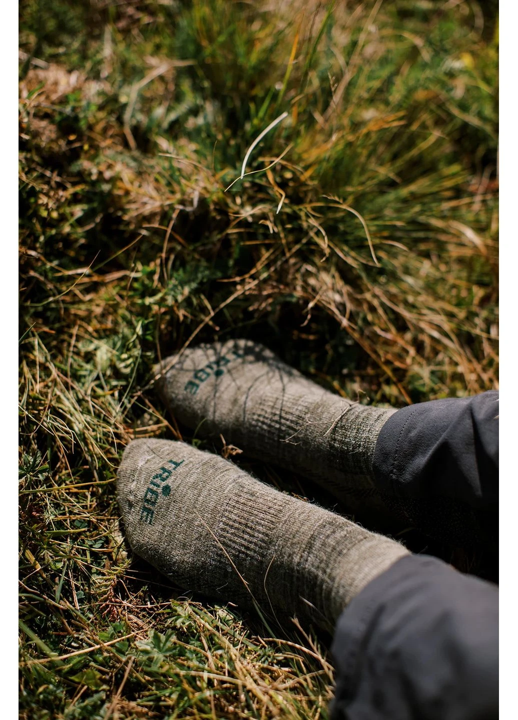 Оливковые носки виски мужские tribe merino hike t-kb-0017 80% шерсть оливковые (401269852)