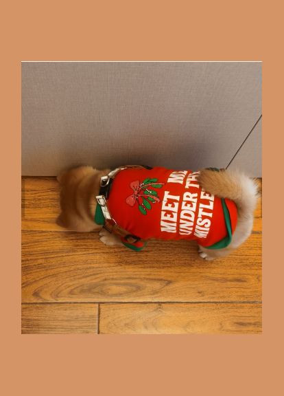 Світшот для котів Pet Style "Принт" Червоний XS No Brand - (323236616)