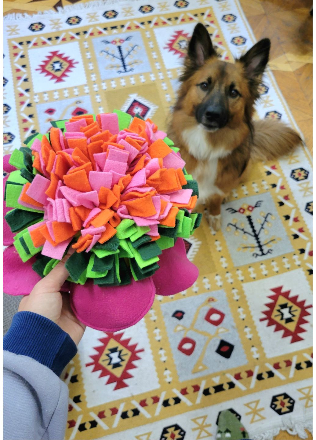 М'яка розвиваюча іграшка для собак No Brand (361425652)